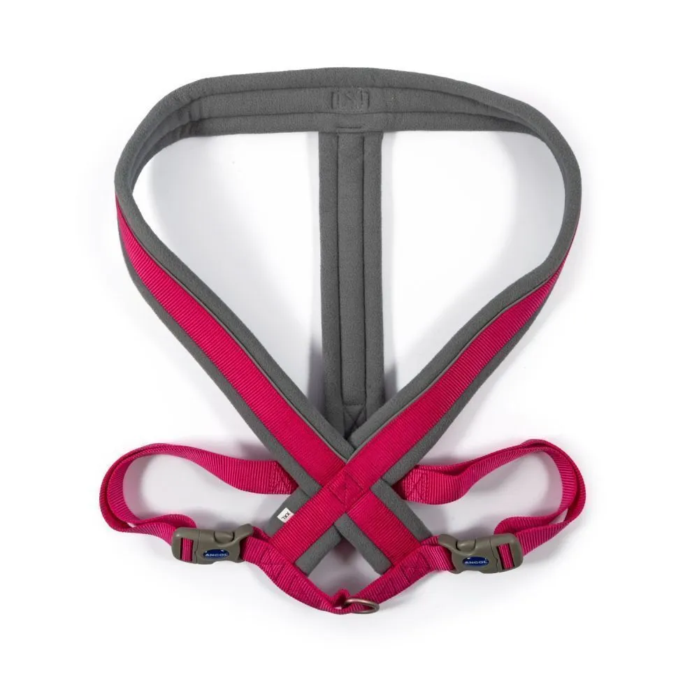 Ancol Viva X-Large Pink Padded Dog Harness