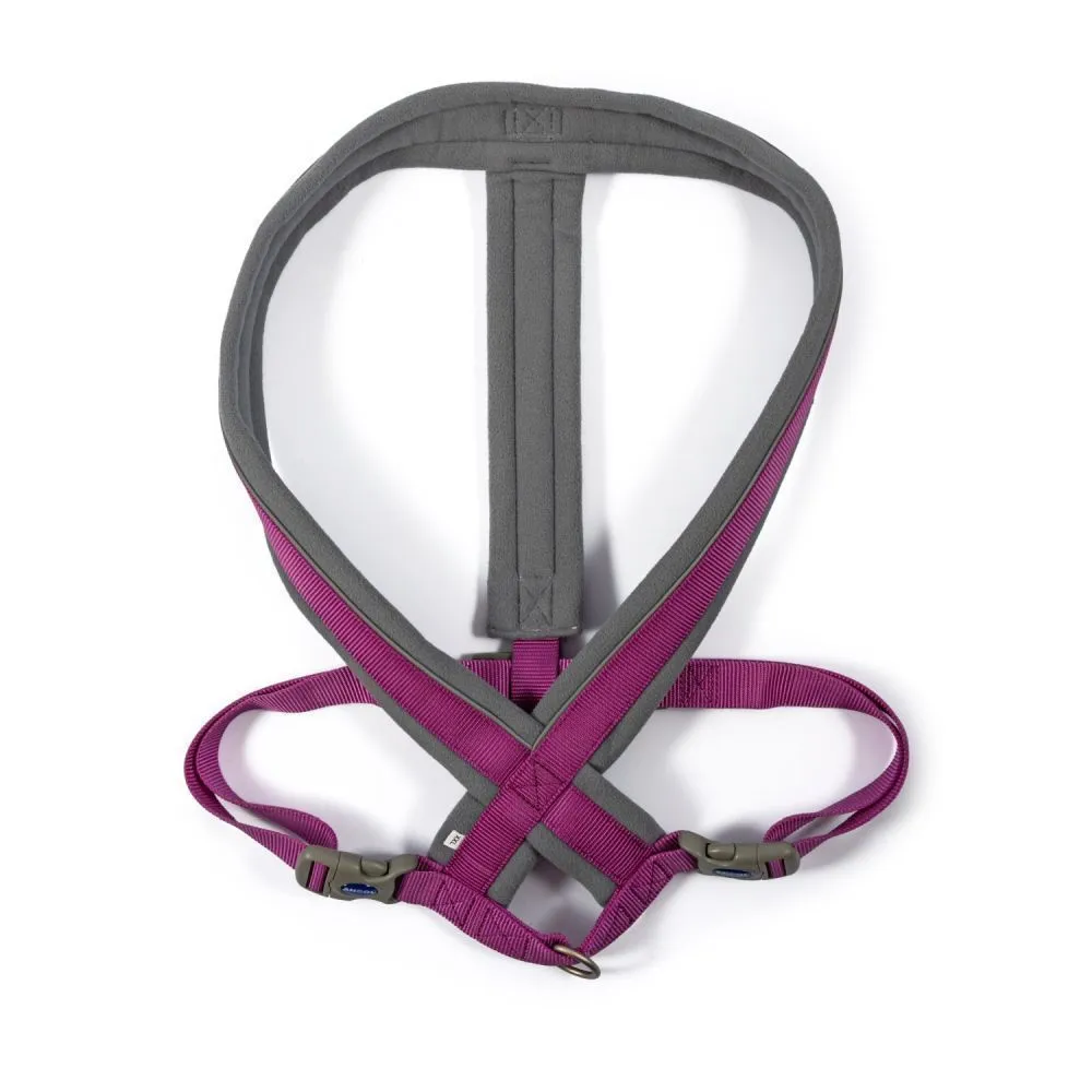 Ancol Viva XX-Large Purple Padded Dog Harness