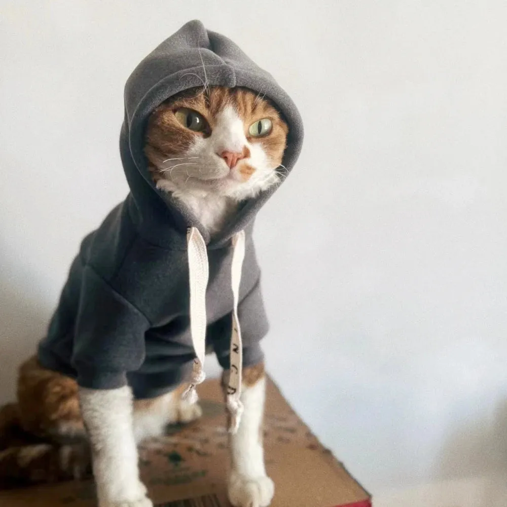 Cat Clothes Winter Warm Fleece Hooded Sweatshirt | Thick Cartoon Costume for Sphynx & Kittens | Soft Grey Coat for Female Cats & Small Dogs