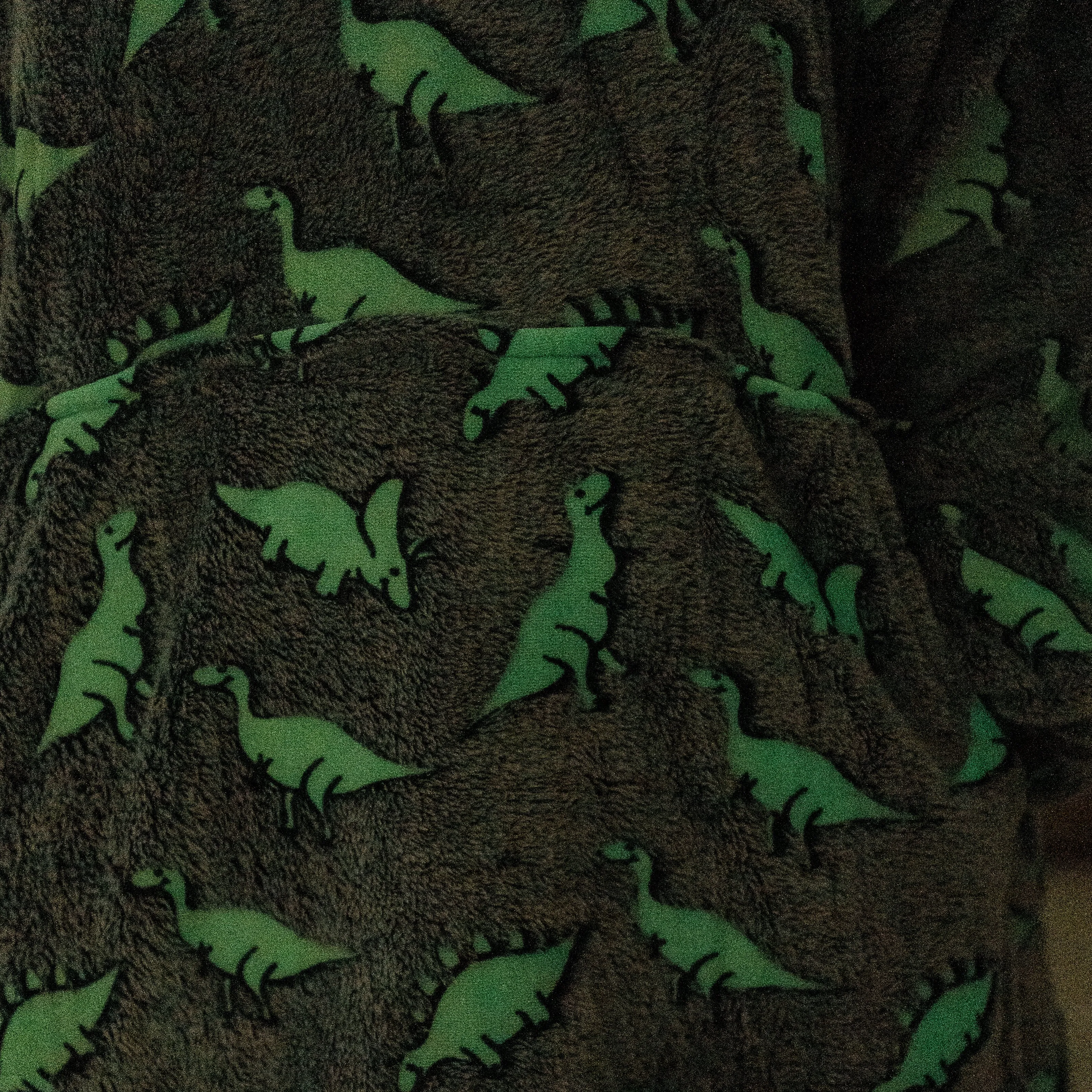 Dino Plushie with Dinosaurs Adults Blanket Hoodie [FINAL SALE]