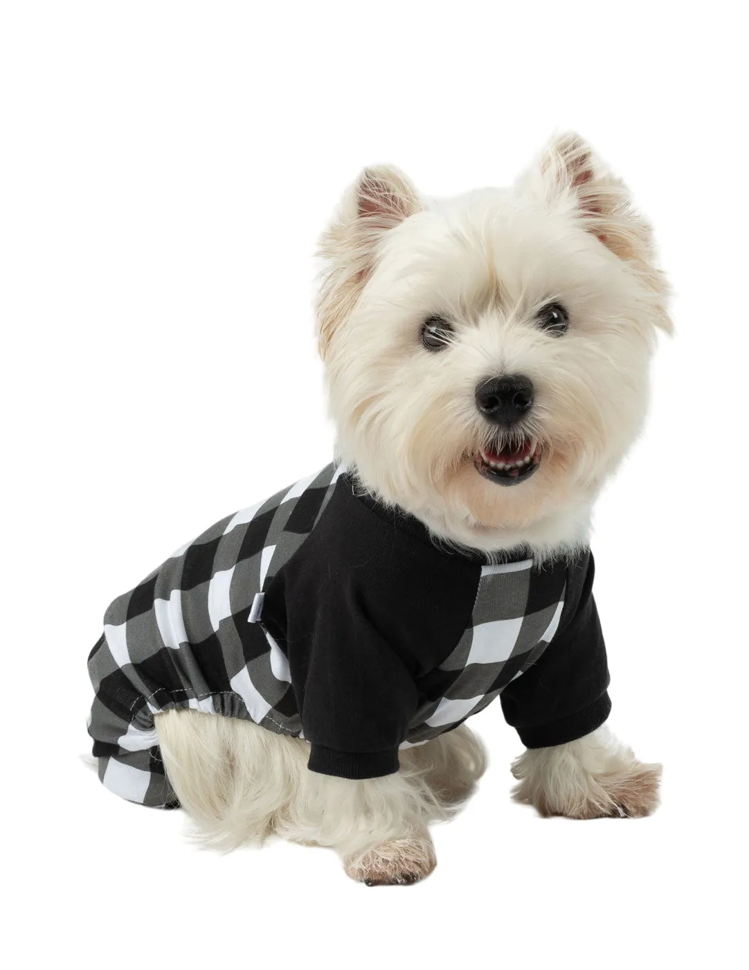 Dog Plaid Pajamas