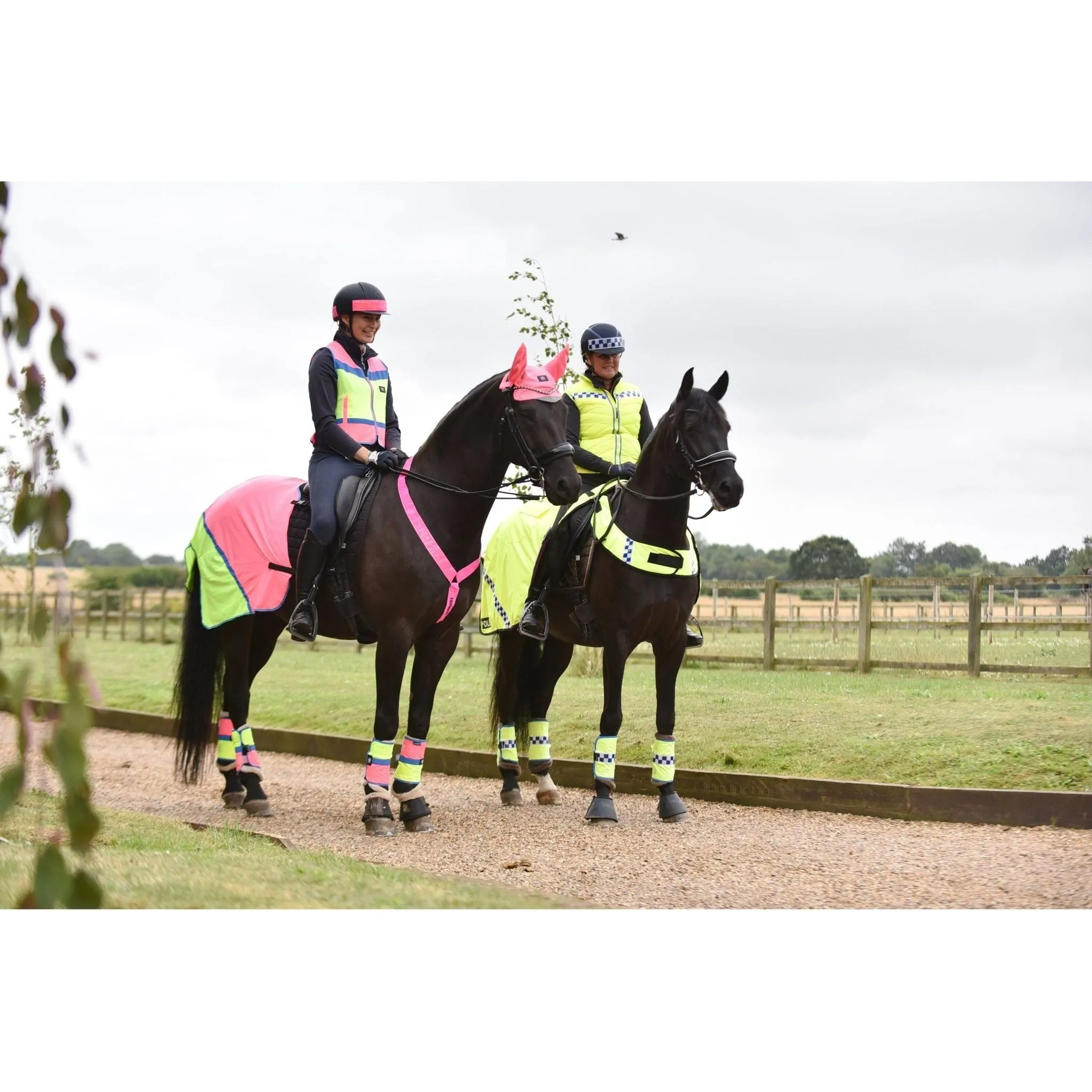 Equisafety Multi Colour Hi Vis Waistcoat  - Pink/yellow