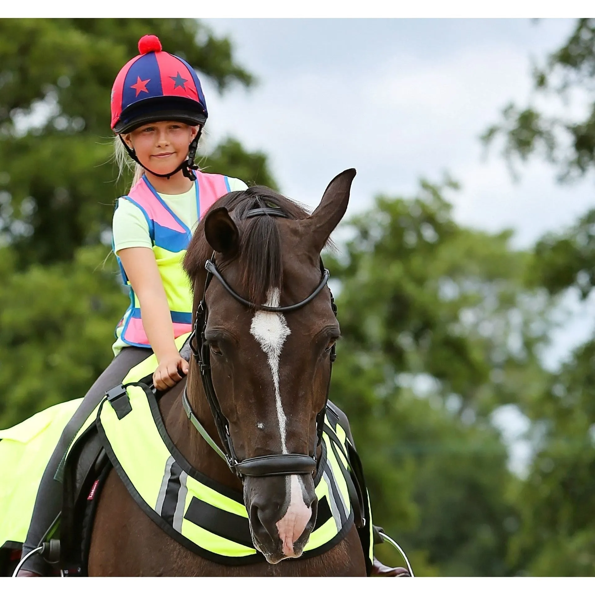 Equisafety Multi Colour Hi Vis Waistcoat  - Pink/yellow