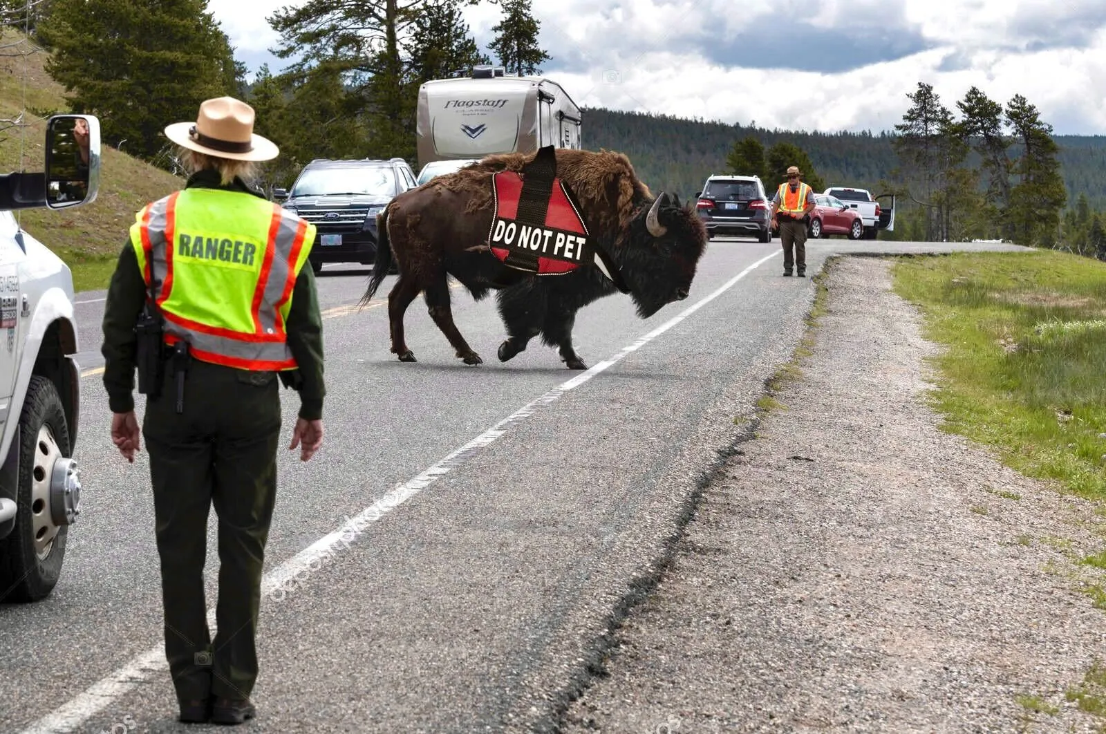 LIMITED EDITION Surf Wyoming® Service Bison Sticker