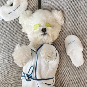 Pet Pyjamas Bathrobe Set With Eye Mask Slippers